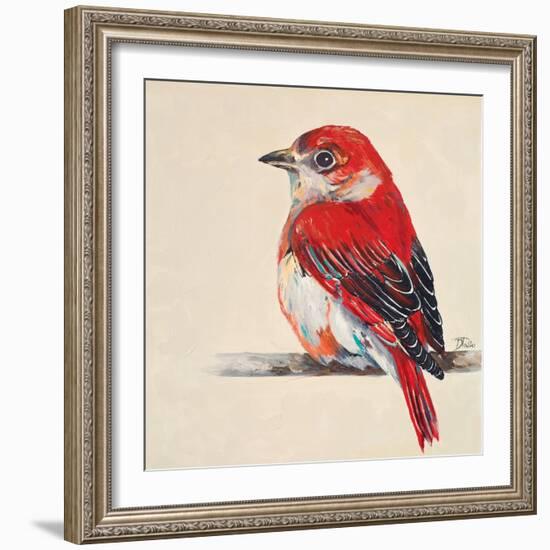 Baby Red Bird II-Patricia Pinto-Framed Art Print