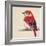 Baby Red Bird II-Patricia Pinto-Framed Art Print