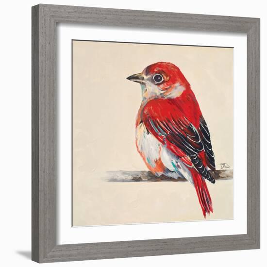 Baby Red Bird II-Patricia Pinto-Framed Art Print