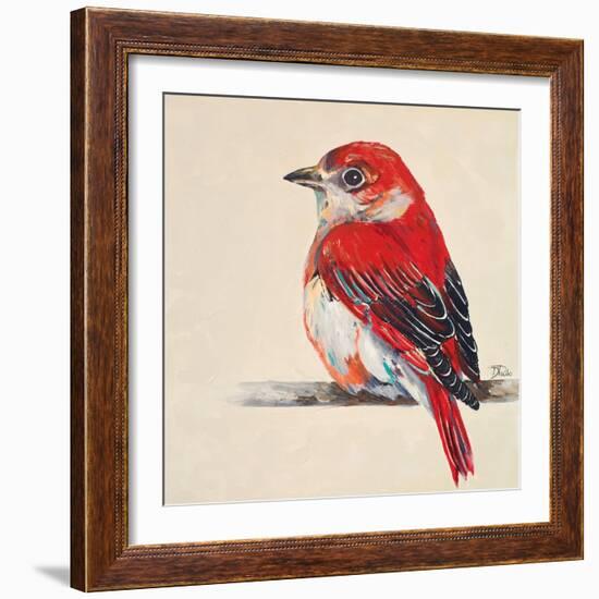 Baby Red Bird II-Patricia Pinto-Framed Art Print