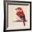 Baby Red Bird II-Patricia Pinto-Framed Art Print