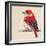 Baby Red Bird II-Patricia Pinto-Framed Art Print