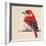 Baby Red Bird II-Patricia Pinto-Framed Art Print