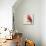 Baby Red Bird II-Patricia Pinto-Mounted Art Print displayed on a wall