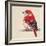 Baby Red Bird II-Patricia Pinto-Framed Art Print