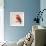 Baby Red Bird II-Patricia Pinto-Framed Premium Giclee Print displayed on a wall