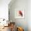 Baby Red Bird II-Patricia Pinto-Framed Premium Giclee Print displayed on a wall