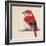 Baby Red Bird II-Patricia Pinto-Framed Premium Giclee Print