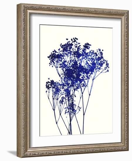 Baby's Breath-Garima Dhawan-Framed Art Print