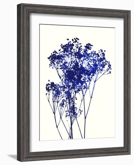 Baby's Breath-Garima Dhawan-Framed Art Print