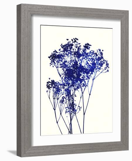 Baby's Breath-Garima Dhawan-Framed Art Print