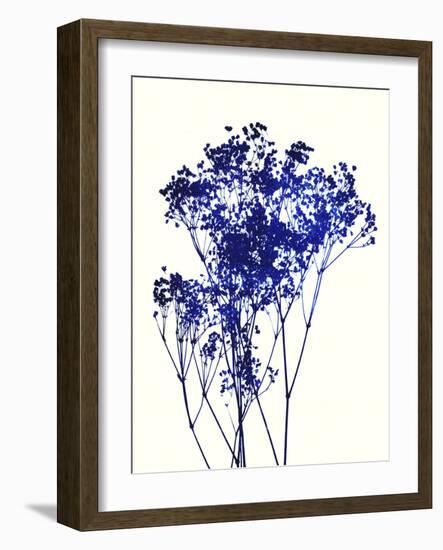 Baby's Breath-Garima Dhawan-Framed Art Print