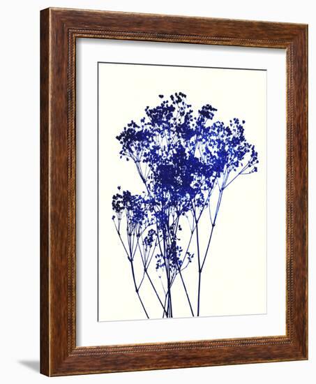 Baby's Breath-Garima Dhawan-Framed Art Print