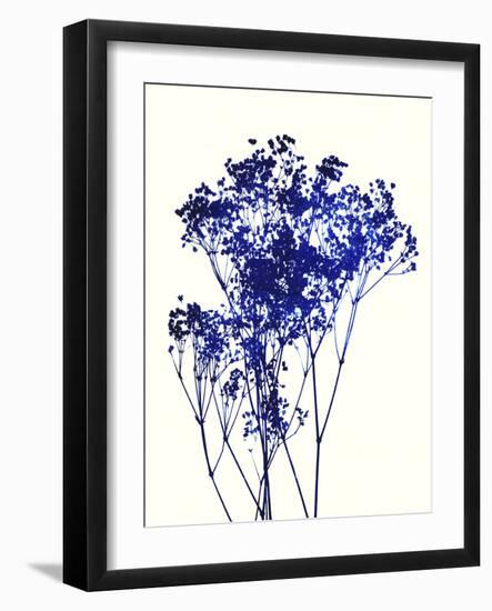 Baby's Breath-Garima Dhawan-Framed Art Print