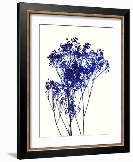 Baby's Breath-Garima Dhawan-Framed Art Print