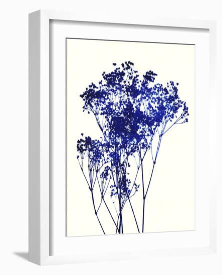 Baby's Breath-Garima Dhawan-Framed Art Print