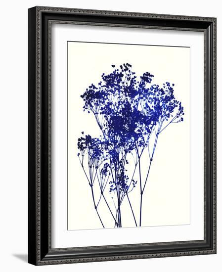 Baby's Breath-Garima Dhawan-Framed Art Print