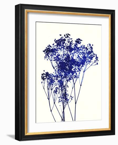 Baby's Breath-Garima Dhawan-Framed Art Print