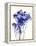 Baby's Breath-Garima Dhawan-Framed Stretched Canvas