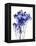 Baby's Breath-Garima Dhawan-Framed Stretched Canvas