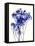 Baby's Breath-Garima Dhawan-Framed Stretched Canvas