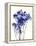 Baby's Breath-Garima Dhawan-Framed Premier Image Canvas