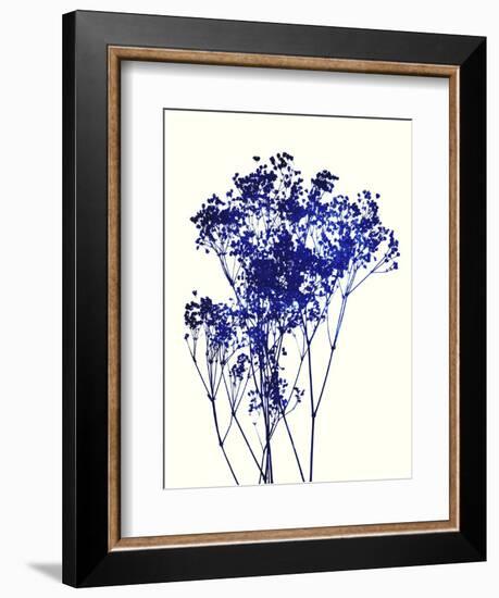 Baby's Breath-Garima Dhawan-Framed Giclee Print