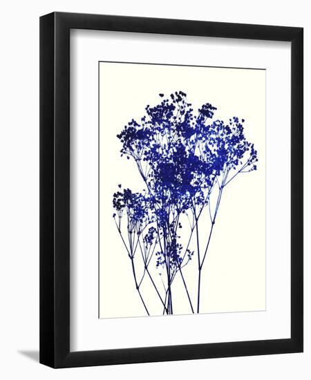 Baby's Breath-Garima Dhawan-Framed Giclee Print