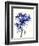 Baby's Breath-Garima Dhawan-Framed Giclee Print