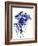 Baby's Breath-Garima Dhawan-Framed Giclee Print