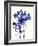 Baby's Breath-Garima Dhawan-Framed Giclee Print