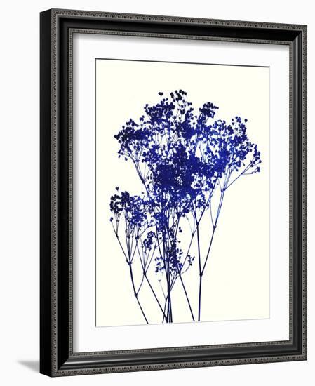 Baby's Breath-Garima Dhawan-Framed Giclee Print