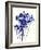 Baby's Breath-Garima Dhawan-Framed Giclee Print