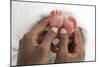 Baby's Feet-Ruth Jenkinson-Mounted Photographic Print