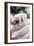 Baby's Hand-Cristina-Framed Photographic Print