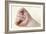 Baby's Hand-Ruth Jenkinson-Framed Photographic Print