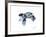 Baby Sea Turtle-Suren Nersisyan-Framed Art Print