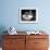 Baby Siblings Taking a Bath-Bettmann-Framed Photographic Print displayed on a wall