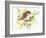 Baby Sparrow-Suren Nersisyan-Framed Art Print