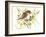 Baby Sparrow-Suren Nersisyan-Framed Art Print