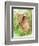 Baby Spring Animals I-Alicia Ludwig-Framed Art Print