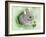 Baby Spring Animals VI-Alicia Ludwig-Framed Art Print