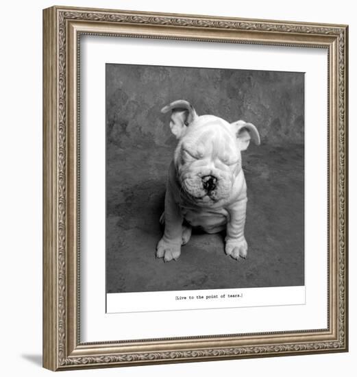 Baby Tears-Ginger DeLater-Framed Art Print