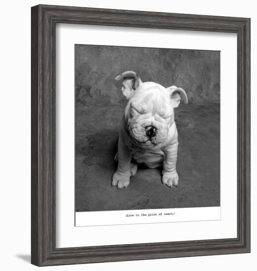 Baby Tears-Ginger DeLater-Framed Art Print