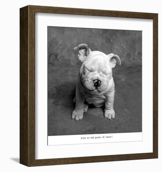 Baby Tears-Ginger DeLater-Framed Art Print