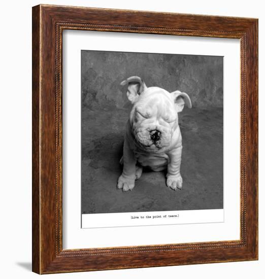 Baby Tears-Ginger DeLater-Framed Art Print