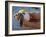 Baby Turtle, Ruta Maya, Mexico-Kenneth Garrett-Framed Photographic Print