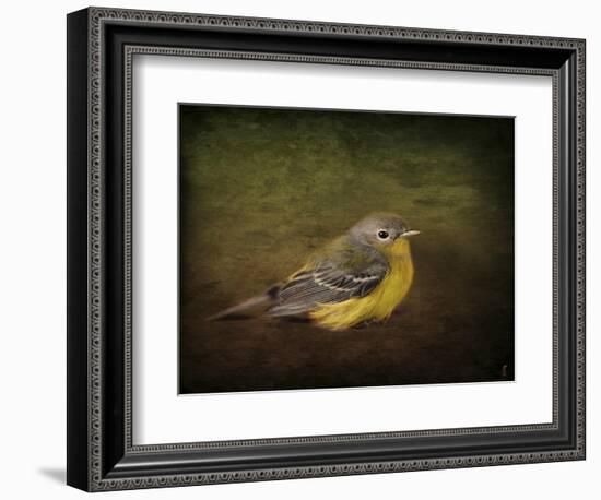 Baby Warbler-Jai Johnson-Framed Giclee Print