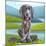 Baby Weimaraner-Kim Curinga-Mounted Art Print