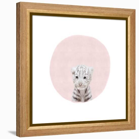 Baby White Tiger Pink-Leah Straatsma-Framed Stretched Canvas